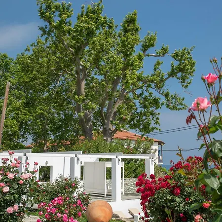 Aeolos Hotel & Villas Pelion Chorefto Апарт-отель 4*