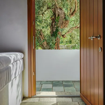 Апарт-отель Aeolos Hotel & Villas Pelion Chorefto Хорефто