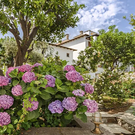 Апарт-отель Aeolos Hotel & Villas Pelion Chorefto Хорефто