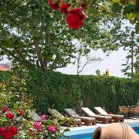 Aeolos Hotel & Villas Pelion Chorefto Хорефто