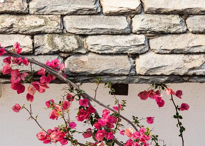 Aparthotel Aeolos & - Pelion