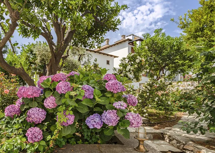 Aparthotel Aeolos & - Pelion Chorefton