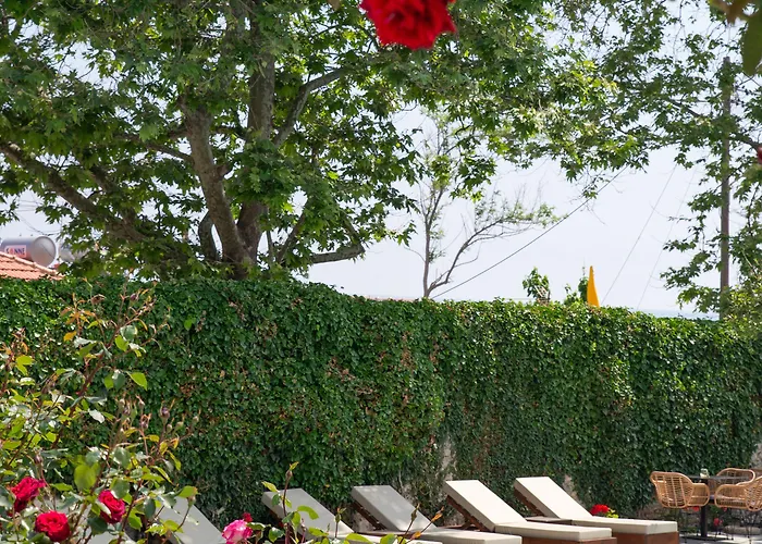 Aeolos & - Pelion Chorefton